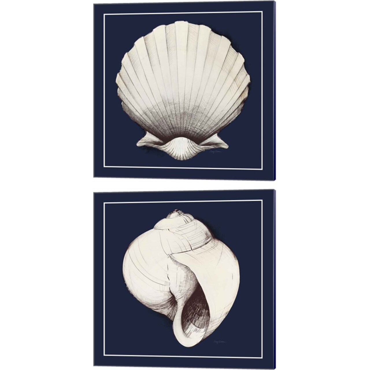 Coastal Shell with Border Navy by Avery Tillmon 14" x 14" Canvas Wall Art (Set of 2)